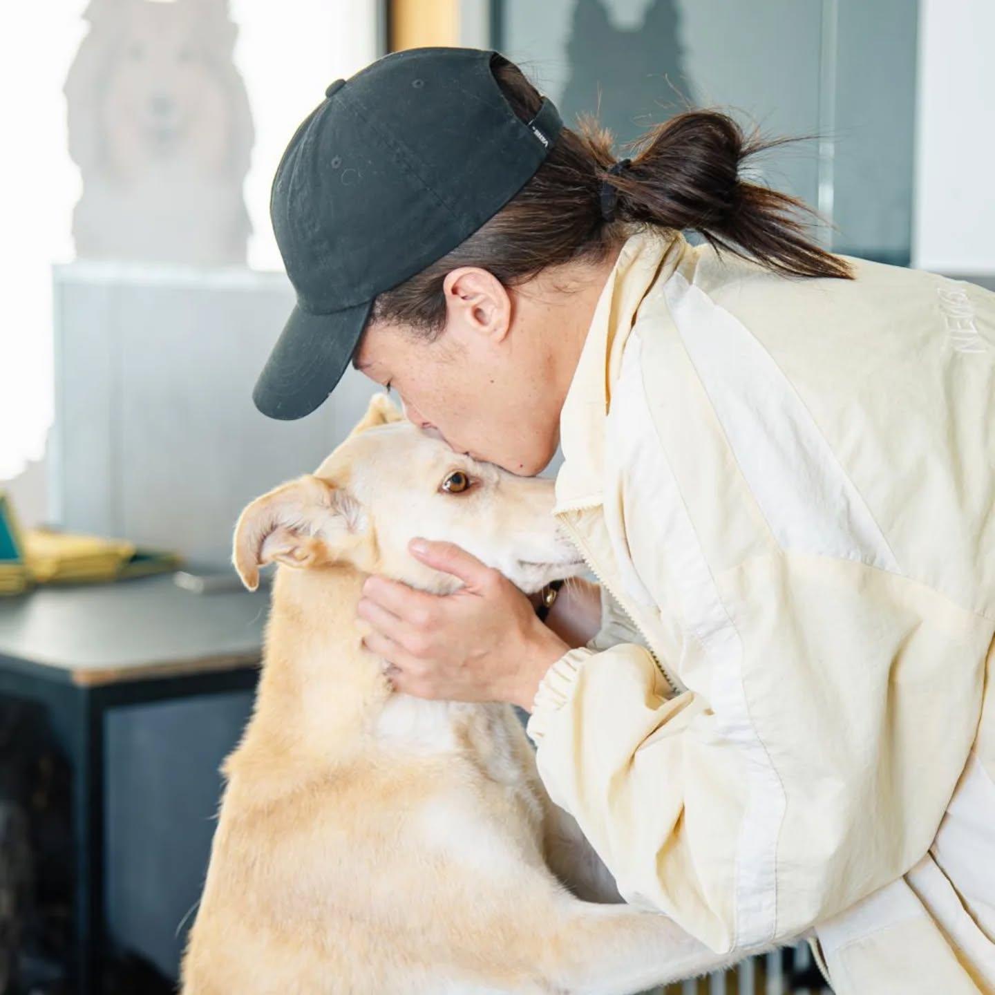 Elemento da equipa de boné a dar um beijo a um cão de pelo claro