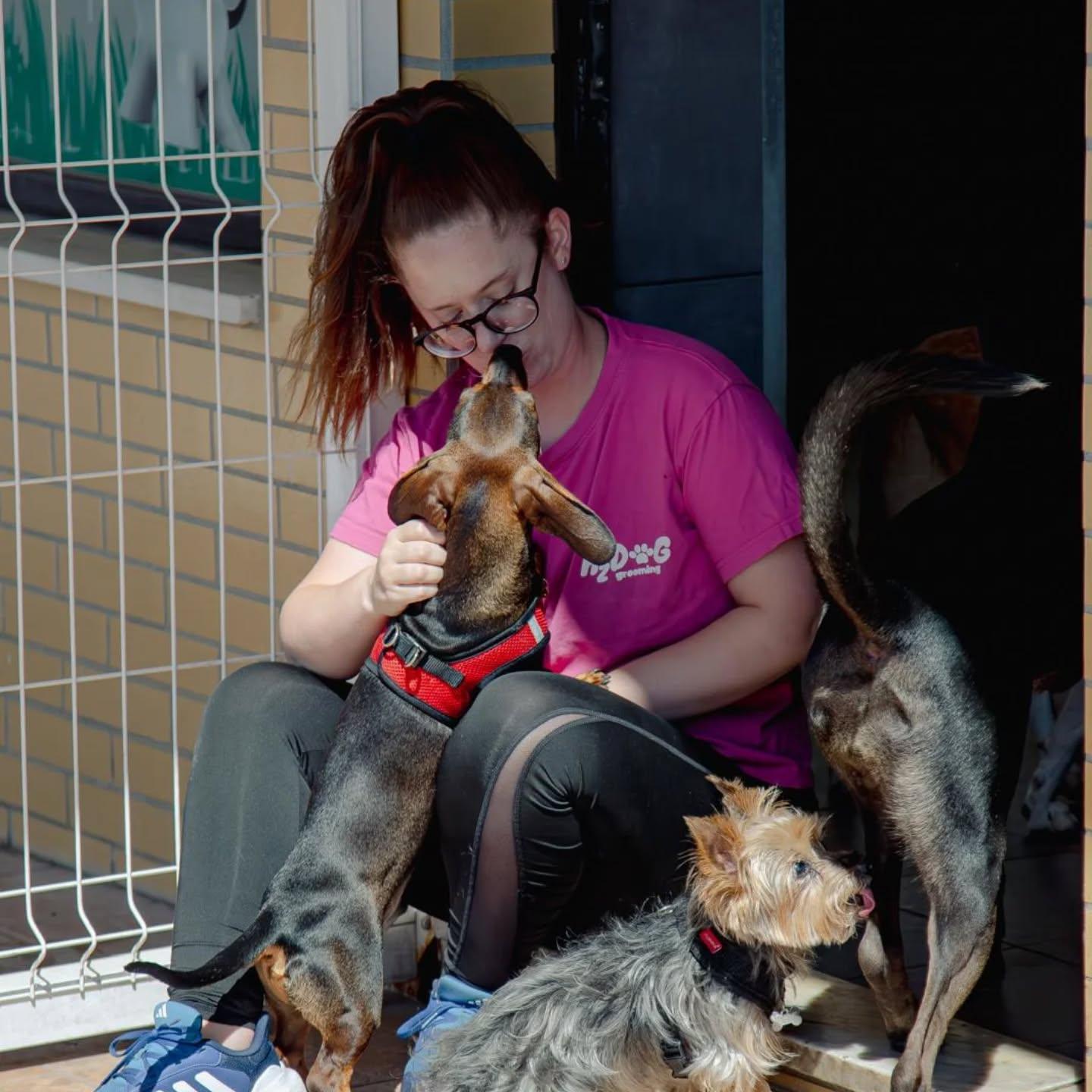 Tratadora de t-shirt rosa a receber beijinhos de um dachshund, com outros cães à volta