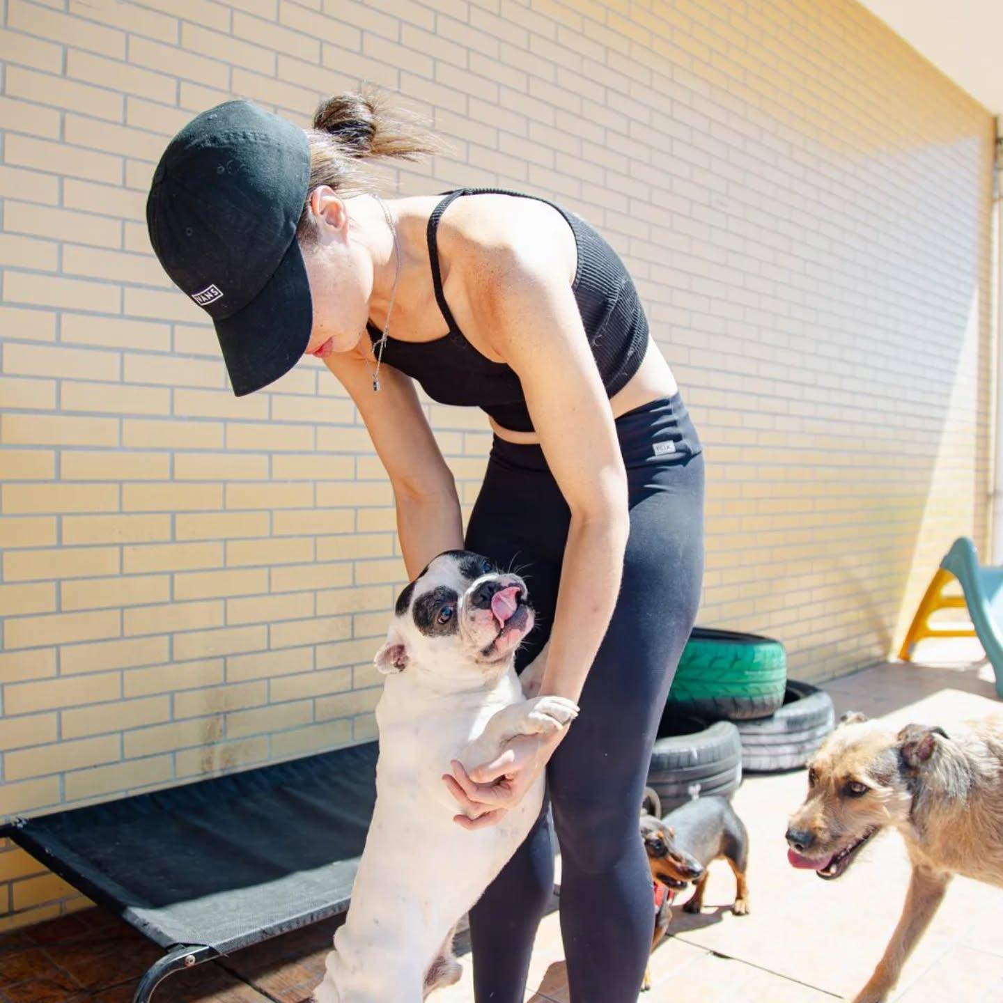 Elemento da equipa a brincar com um bulldog francês no pátio, com outros cães por perto