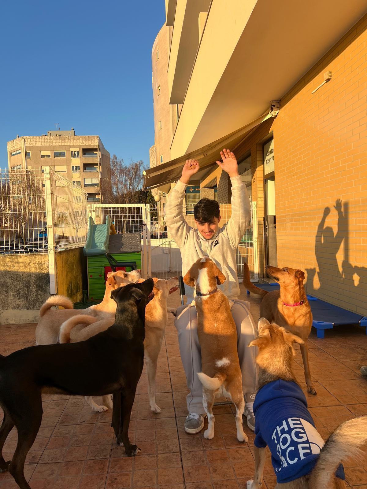 Colaborador de braços no ar rodeado de cães a pedir petiscos